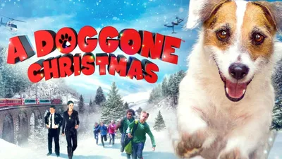 A Doggone Christmas izle