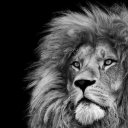 gecevakti adlı kullanıcı